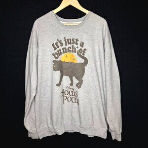 💙 Hocus Pocus Sweatshirt Size 2X Warm Lining Disney Cat Halloween Fun Print Coz